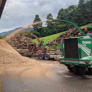 Holzmarkt
